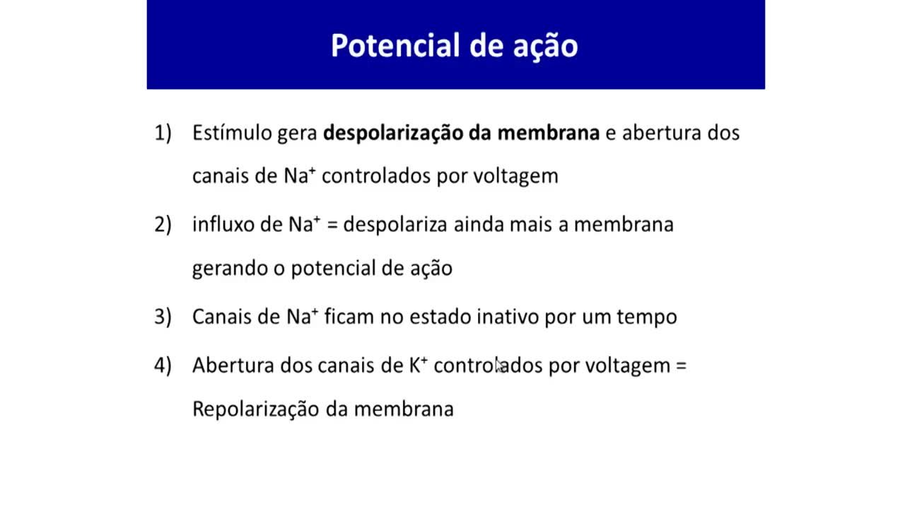 Slide Potencial de ação: o estímulo despolariza a membrana e abre canais de sódio; influxo de sódio; canais de sódio inativos; canais de potássio abrem e repolarizam